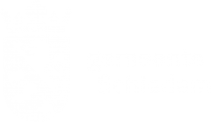 Gemeente Schiedam